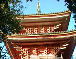 向上寺国宝三重の塔